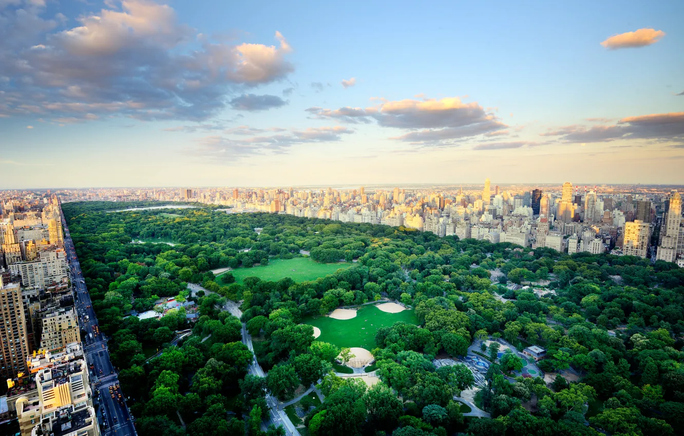 Photo wallpaper trees, home, New York, USA, Central Park