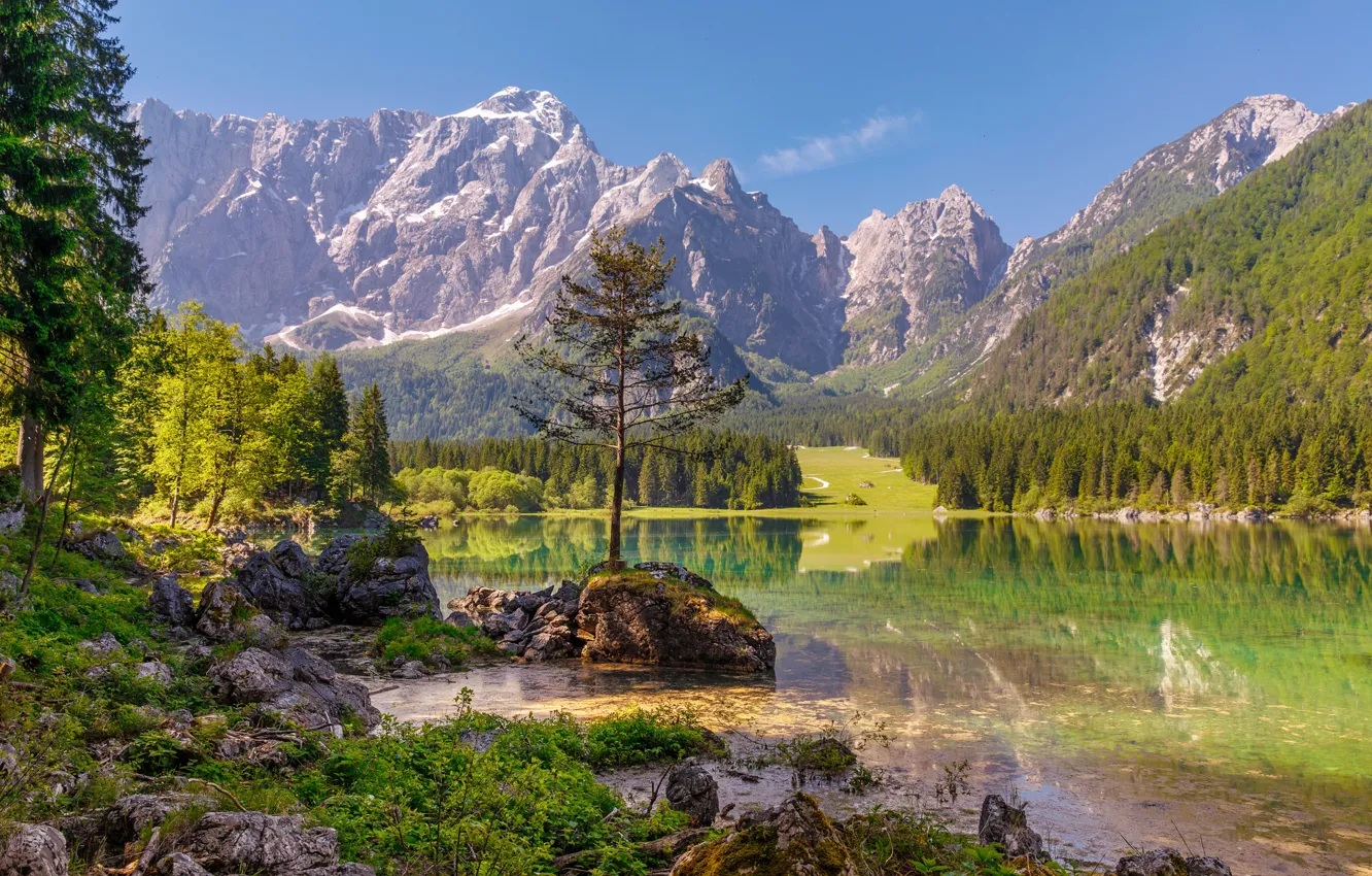 Photo wallpaper trees, mountains, lake