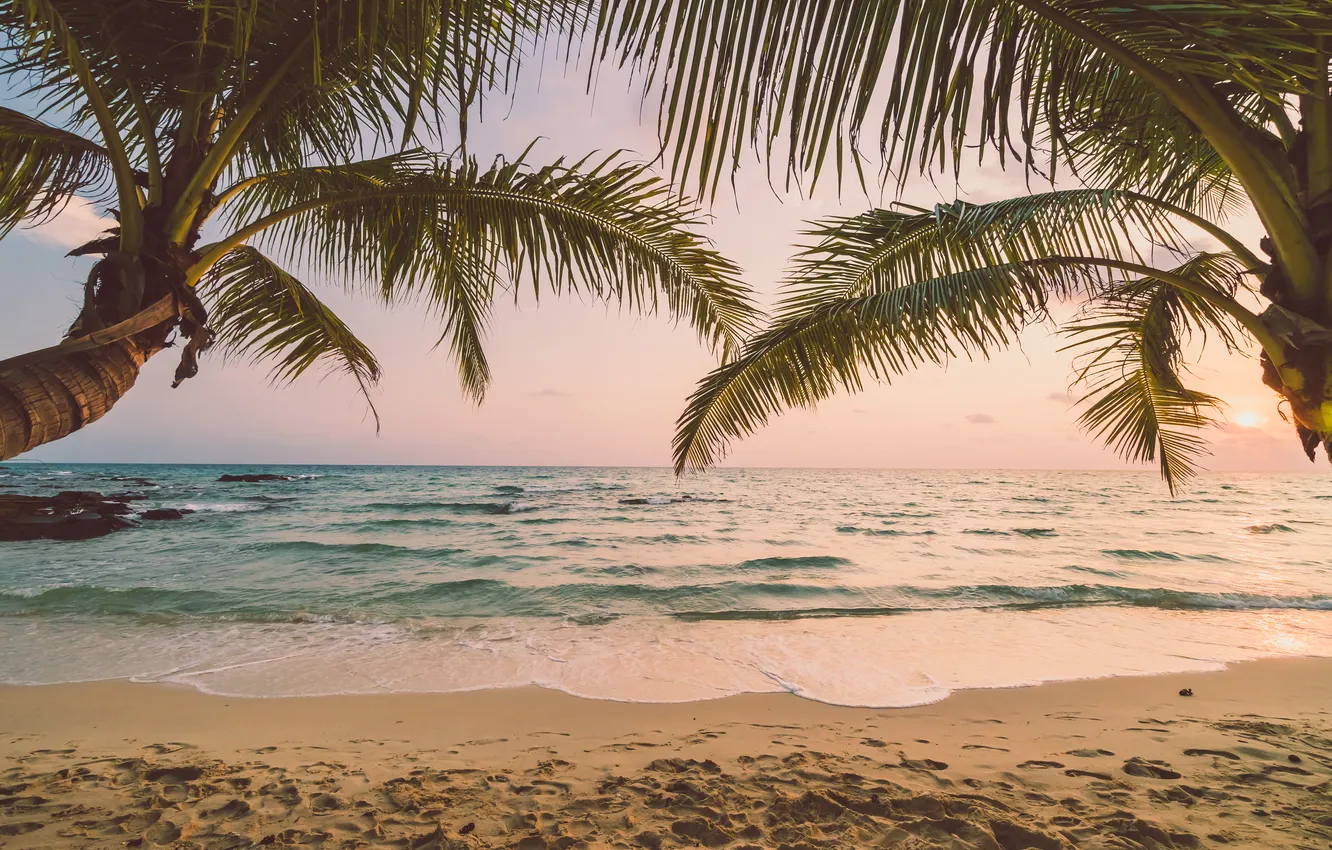 Photo wallpaper sand, sea, wave, beach, summer, the sky, palm trees, shore