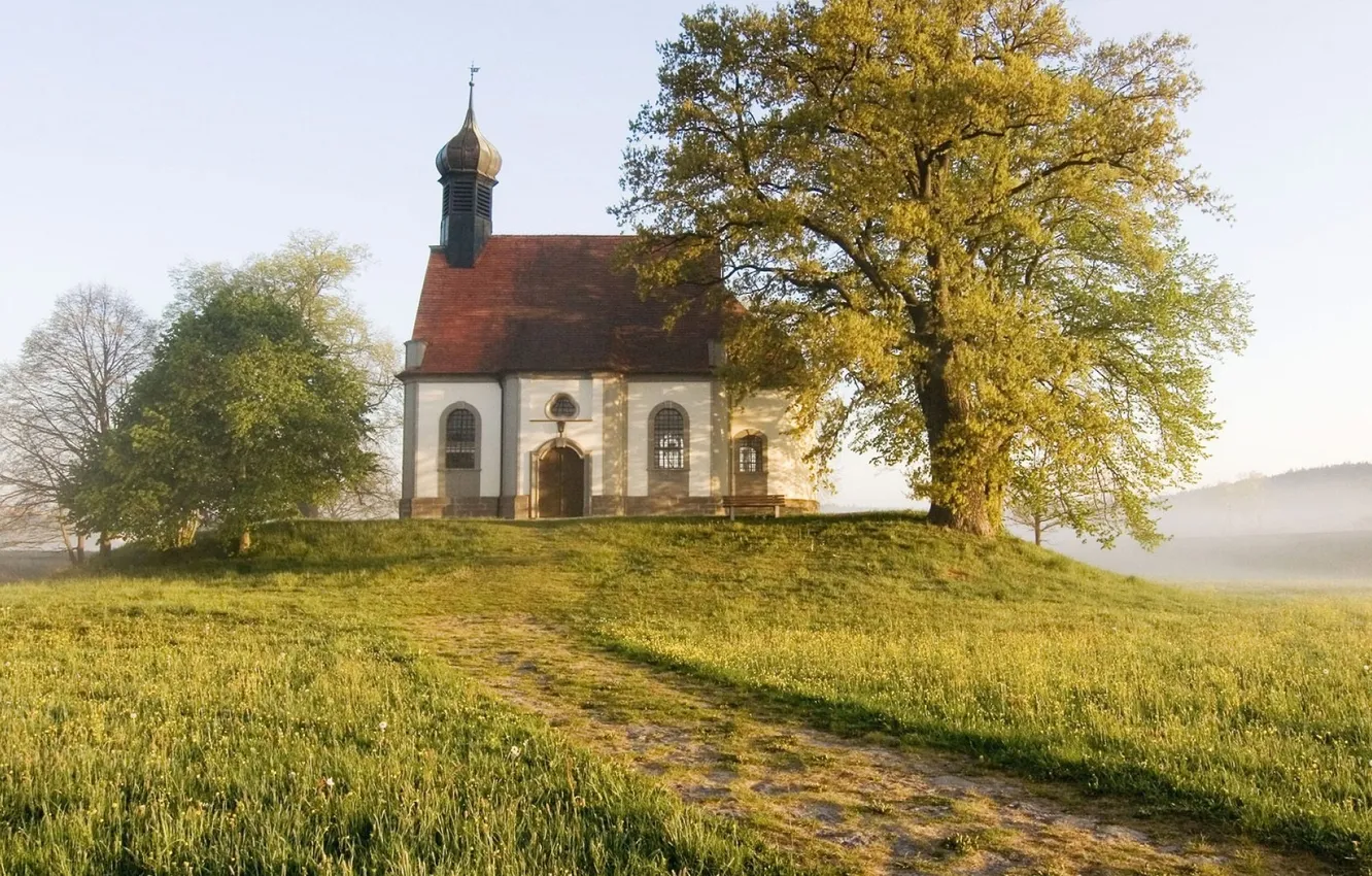 Photo wallpaper field, the sky, grass, clouds, trees, landscape, nature, plant