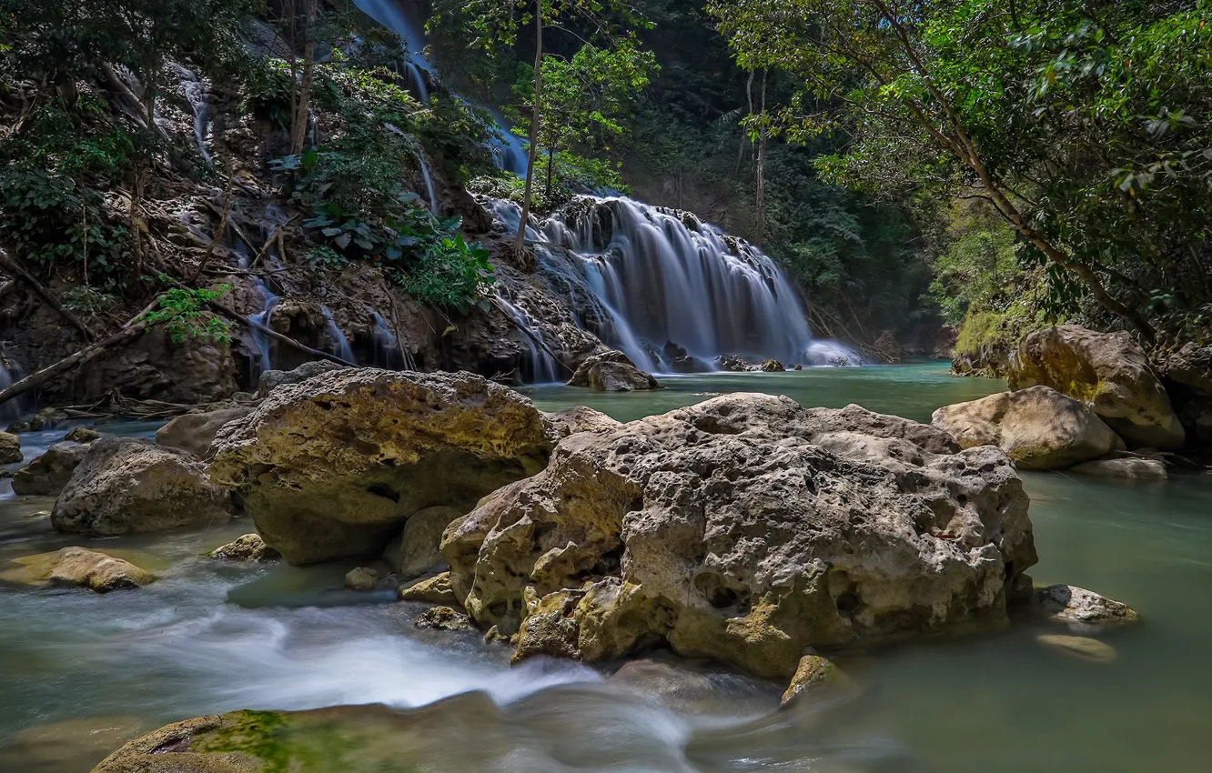 Photo wallpaper forest, stones, waterfall
