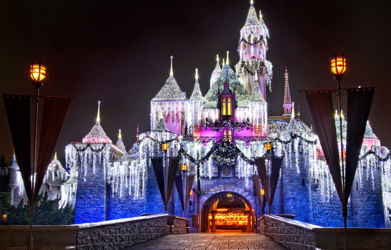 Photo wallpaper winter, night, Disneyland