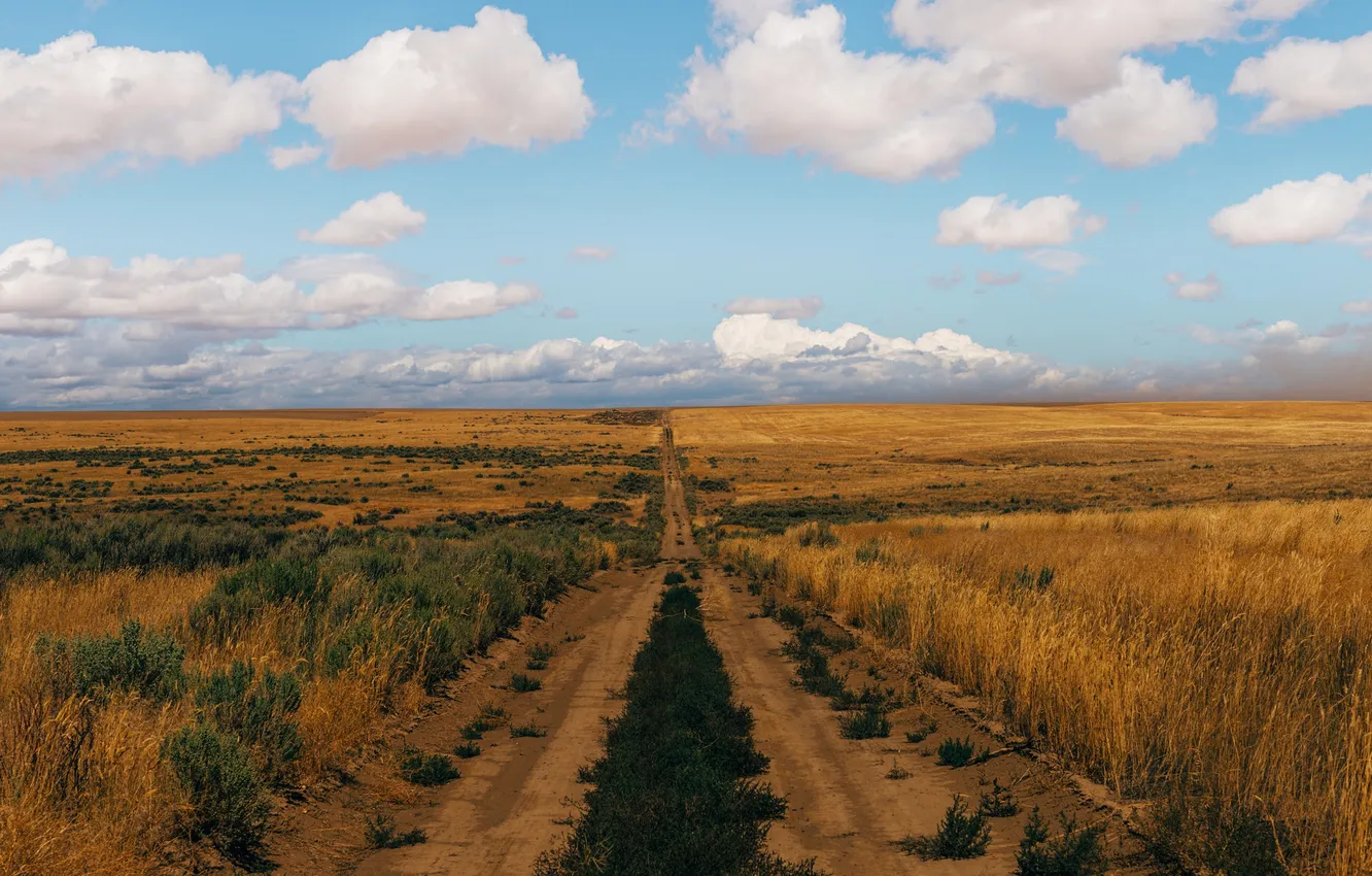 Photo wallpaper road, the sky, clouds, field, horizon, farm