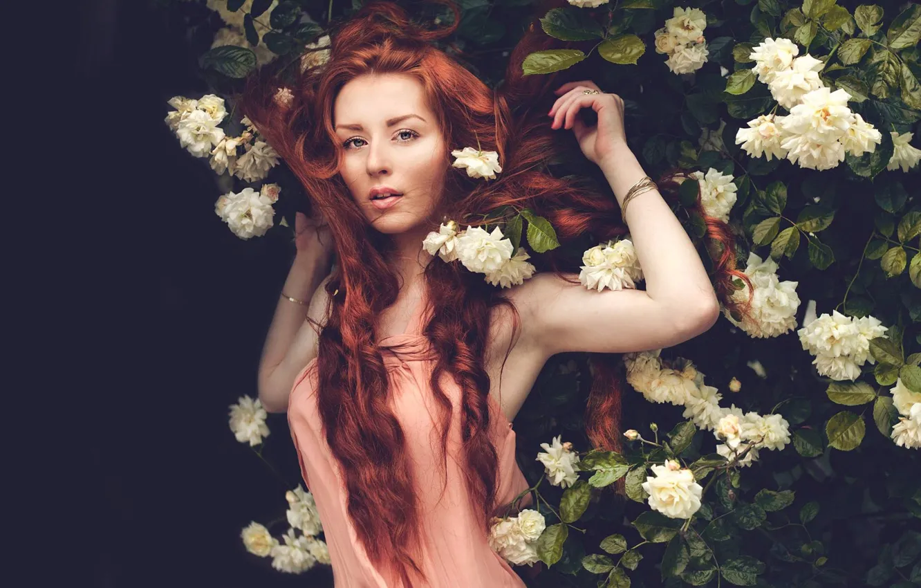 Photo wallpaper look, girl, flowers, the dark background, roses, garden, dress, red