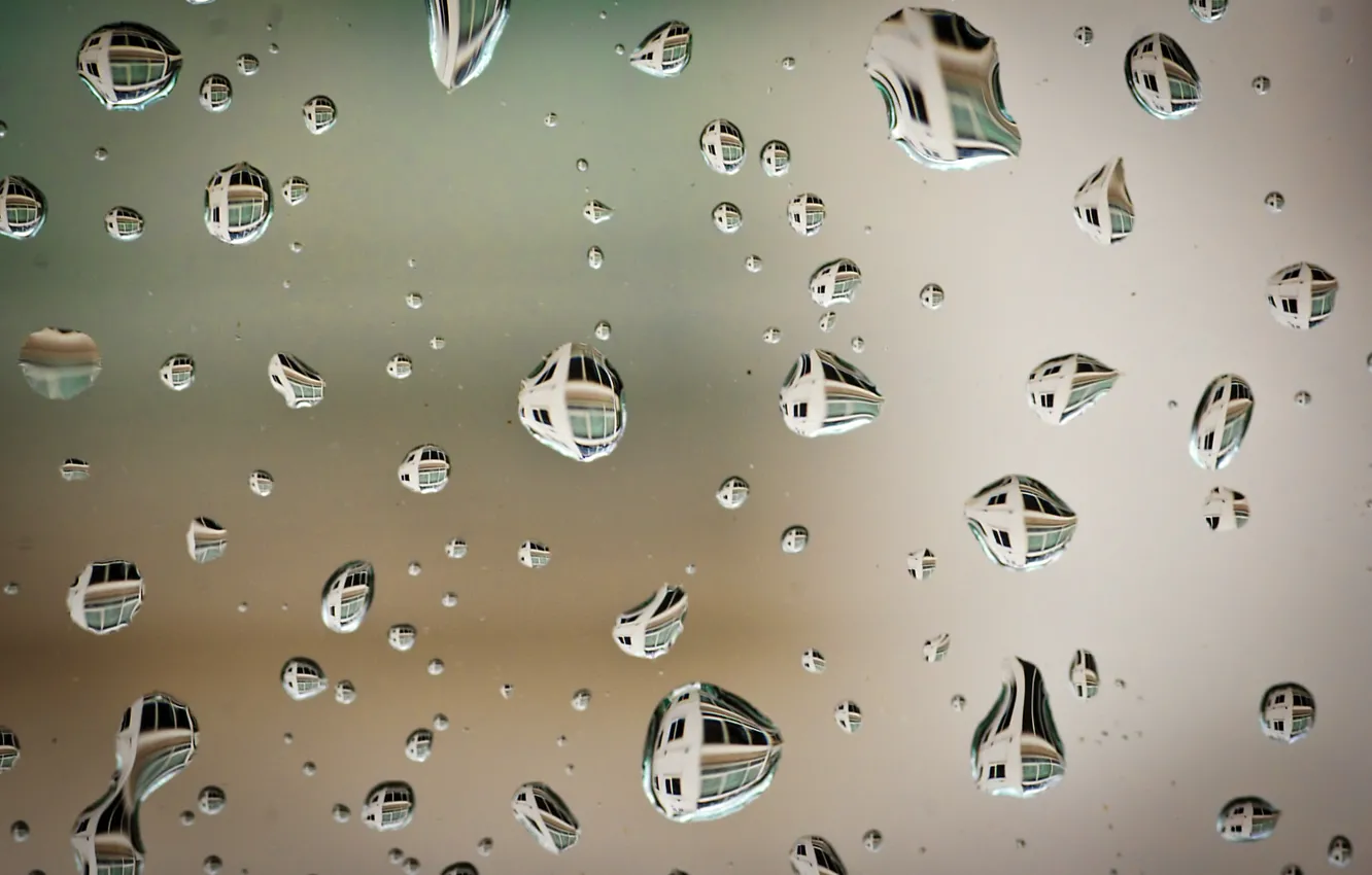 Photo wallpaper water, drops, surface, reflection, after the rain, macro, Sony DSLR-A550