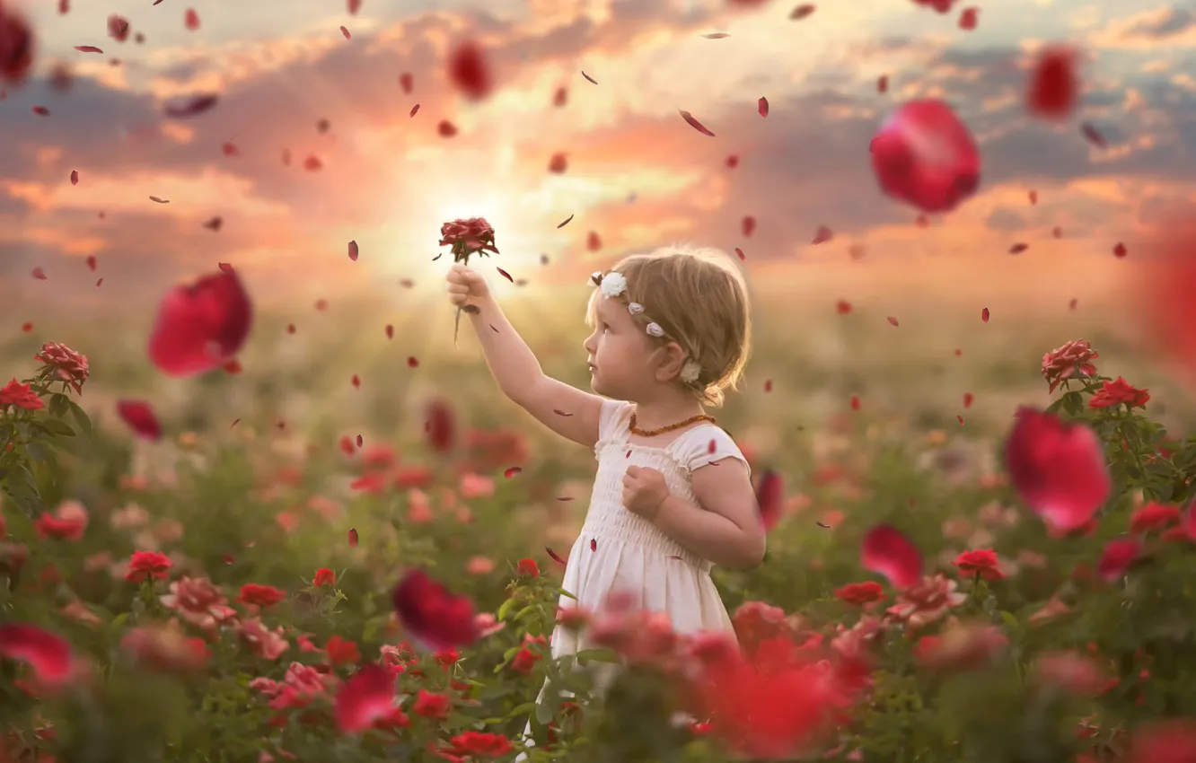 Photo wallpaper flowers, girl, Roses are Red