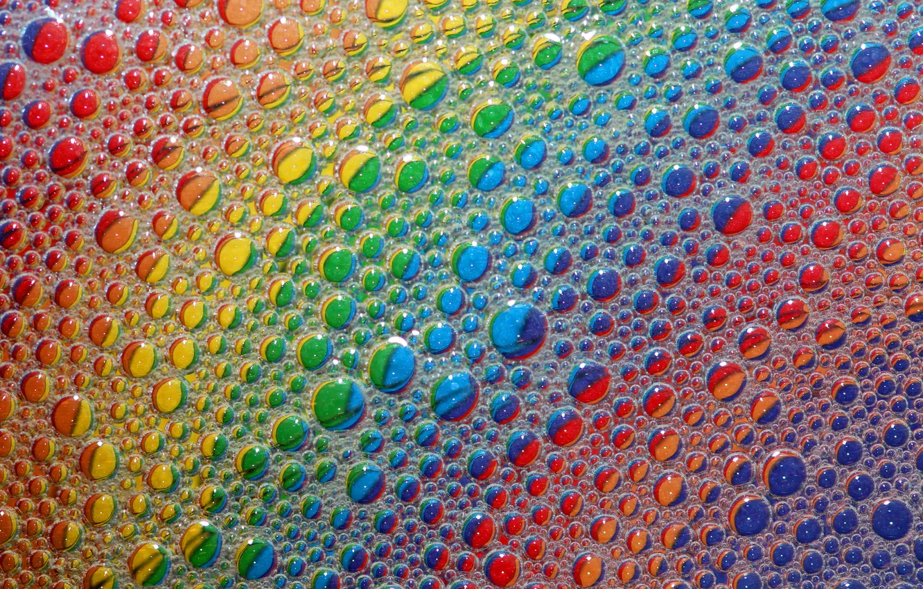 Photo wallpaper macro, color, range, texture