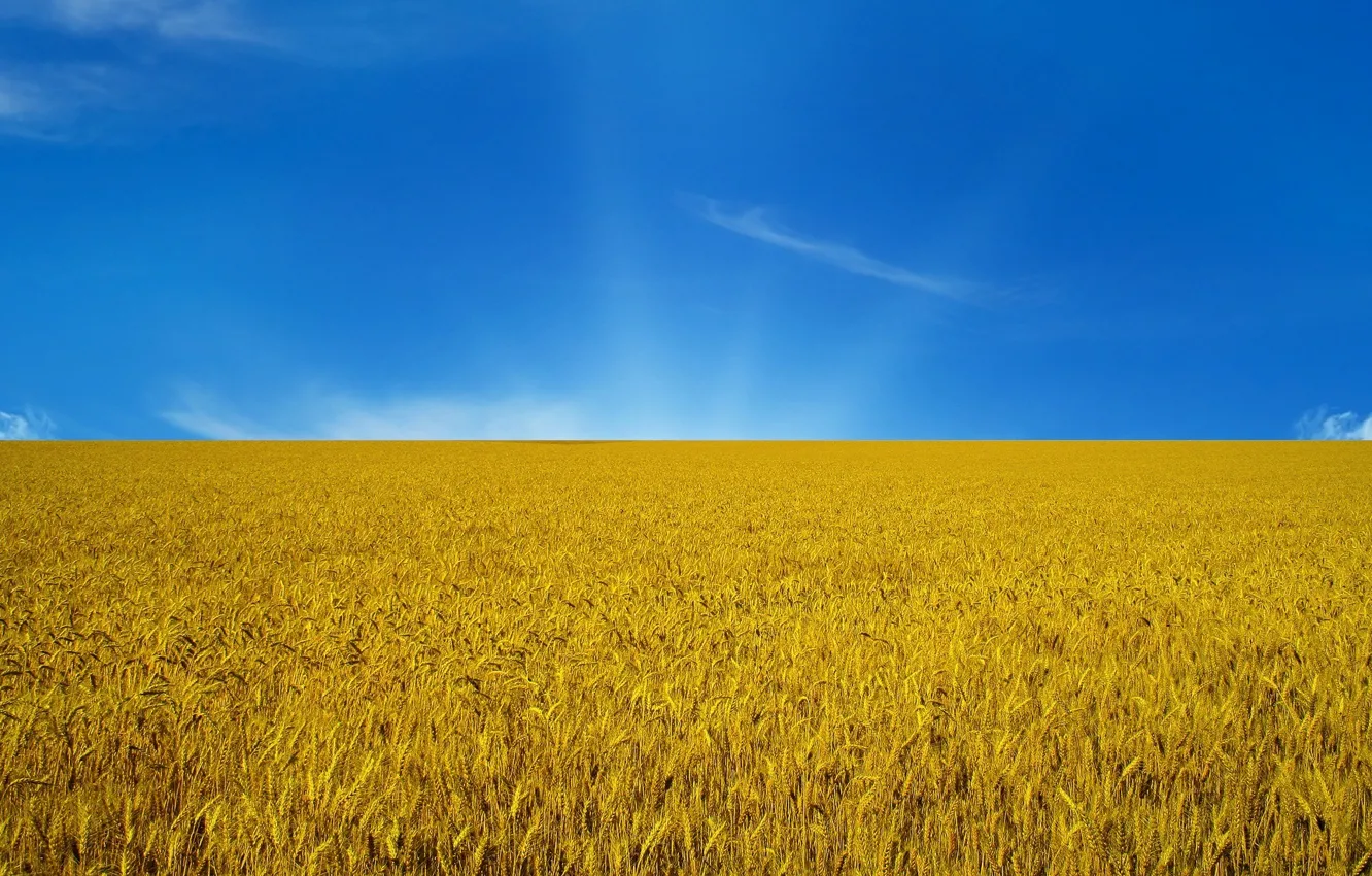 Photo wallpaper the sky, flag, Ukraine, flag