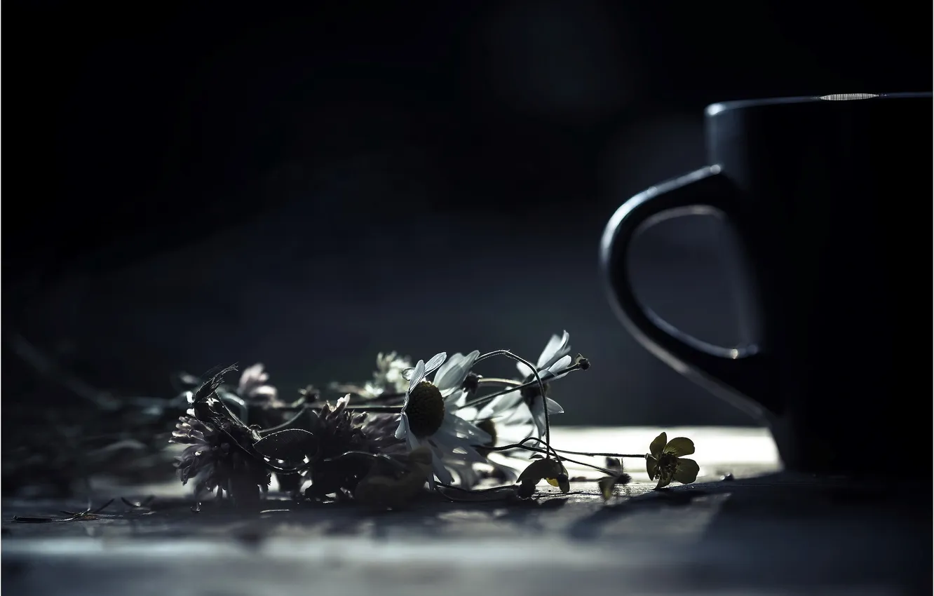 Photo wallpaper flowers, chamomile, mug