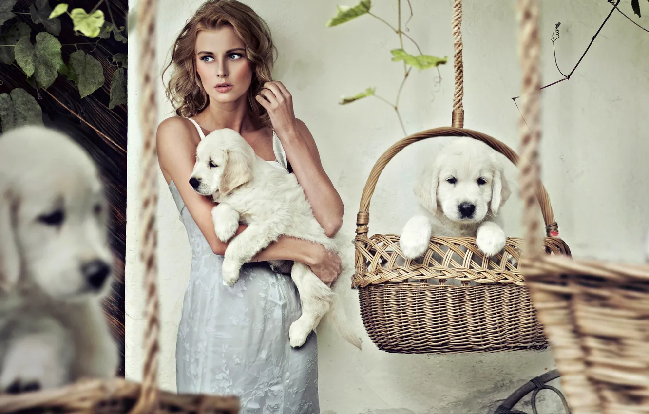 Photo wallpaper dogs, girl, dress, puppies, blonde, white, basket