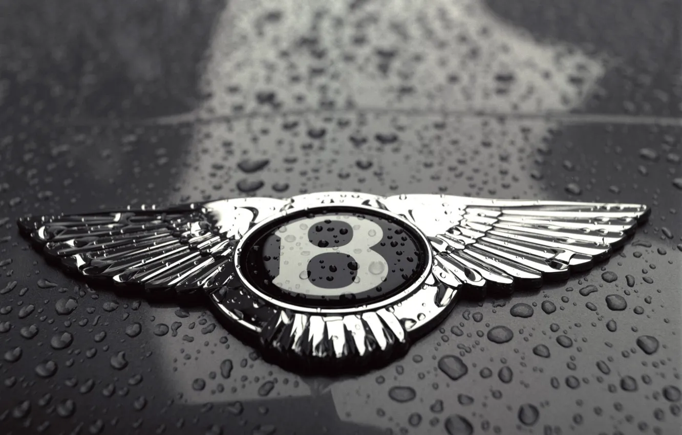 Photo wallpaper drops, black and white, Bentley, logo