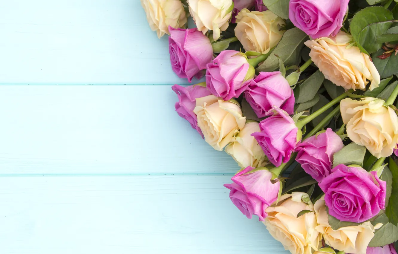 Photo wallpaper flowers, yellow, roses, bouquet, pink, buds, pink, flowers