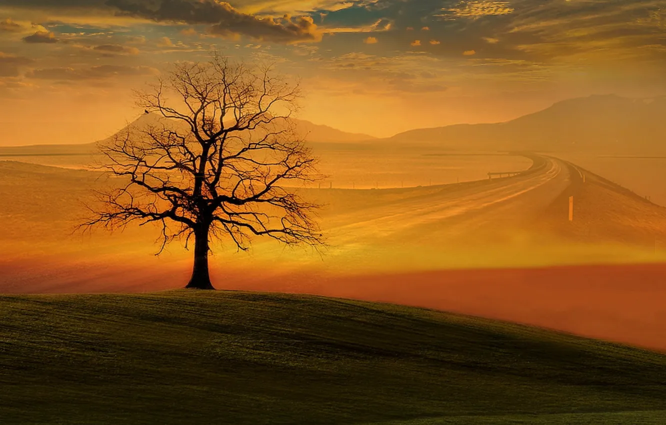 Photo wallpaper road, trees, mountains