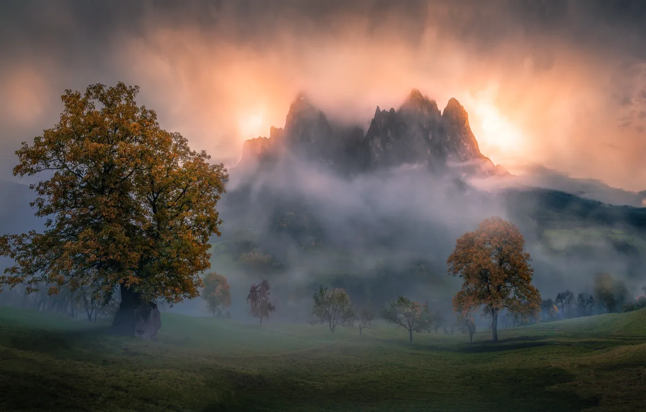 Photo wallpaper autumn, mountains, fog, morning