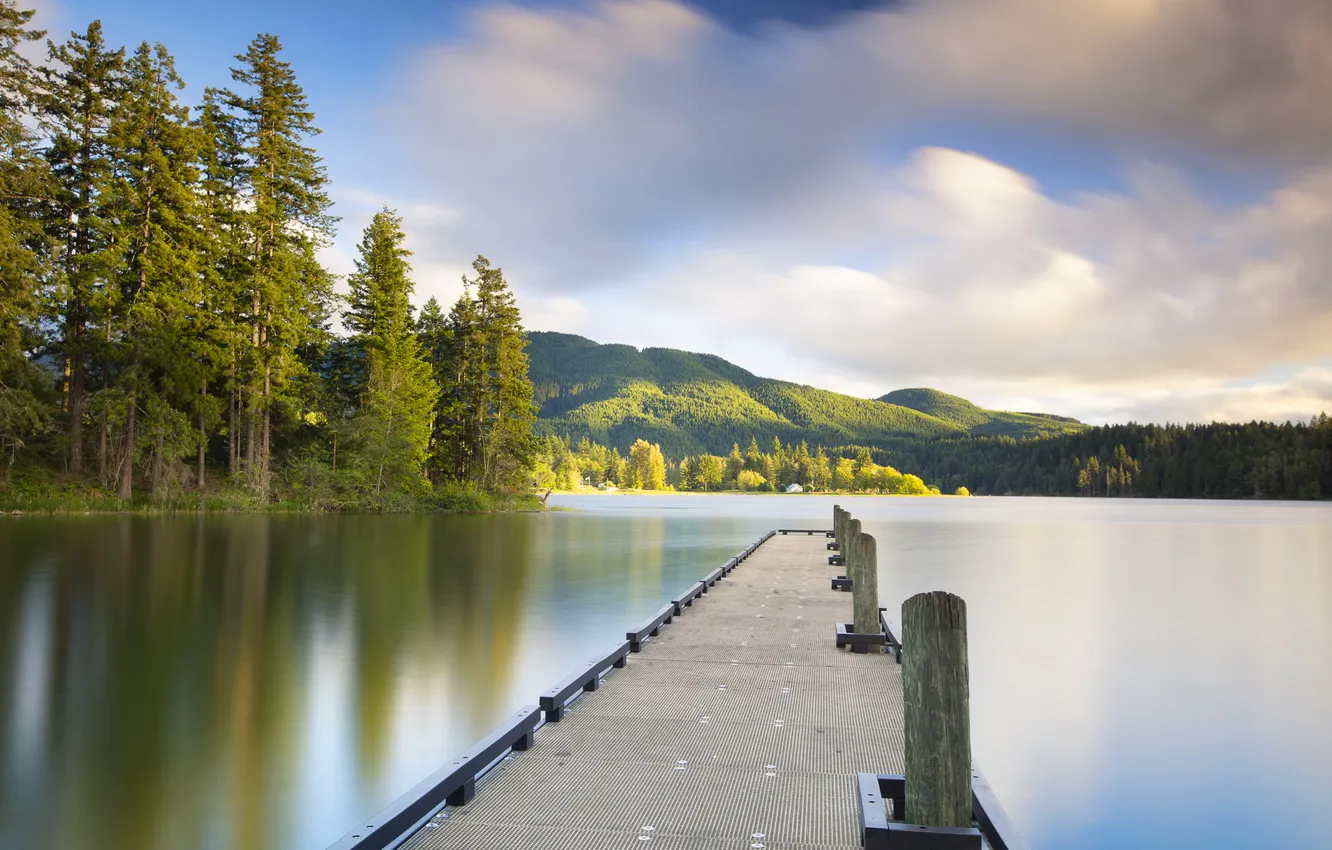 Photo wallpaper summer, bridge, lake