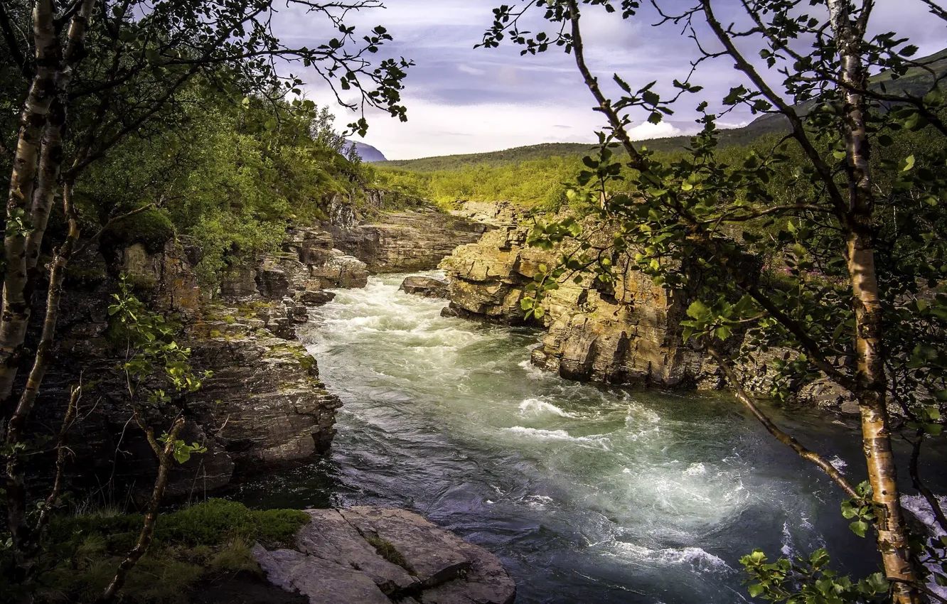 Photo wallpaper nature, river, canyon