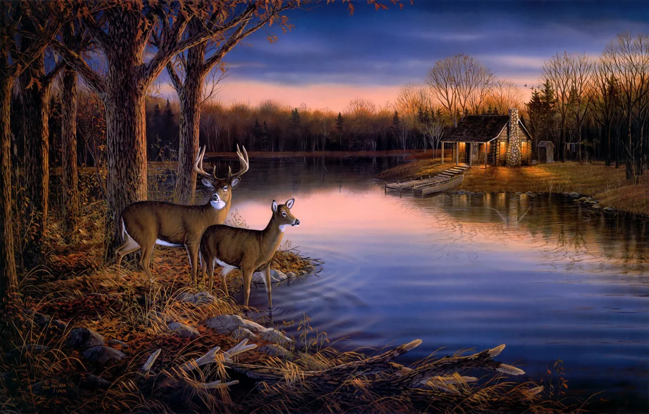 Photo wallpaper autumn, forest, animals, water, trees, sunset, nature, lake