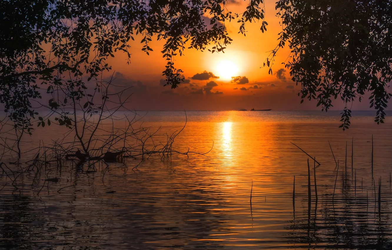 Photo wallpaper sunset, the evening, Thailand