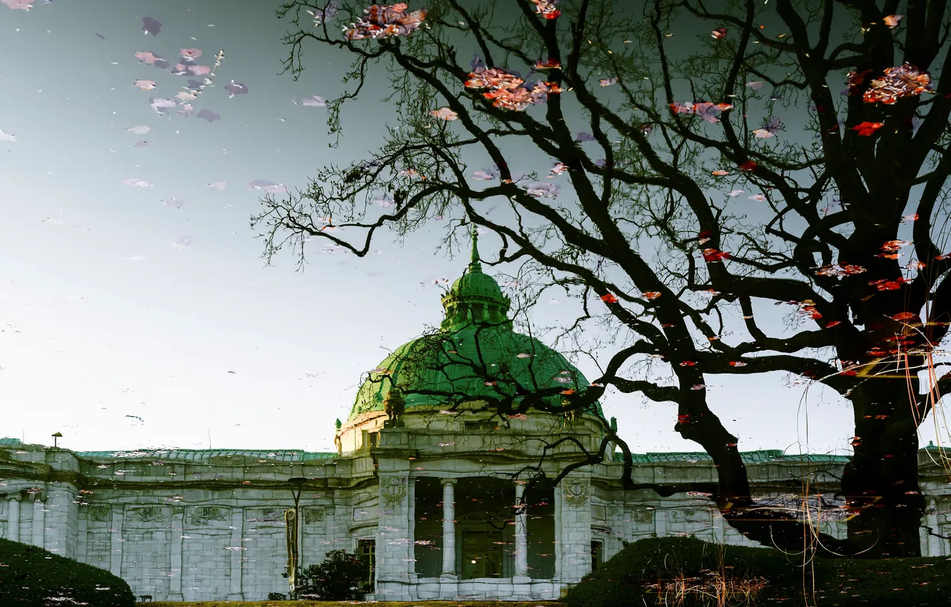 Photo wallpaper autumn, leaves, water, trees, reflection, blur, Church, Cathedral
