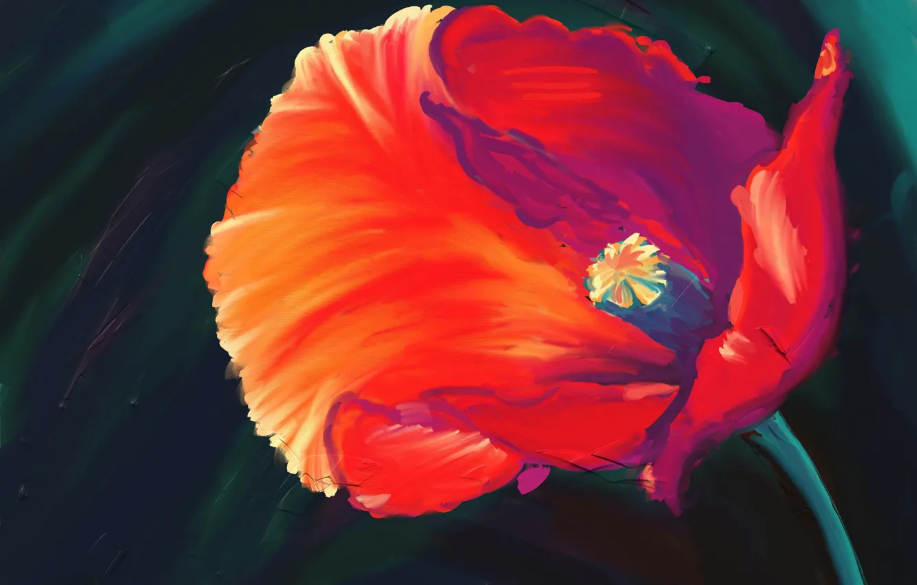 Photo wallpaper flowers, red, Mac, art