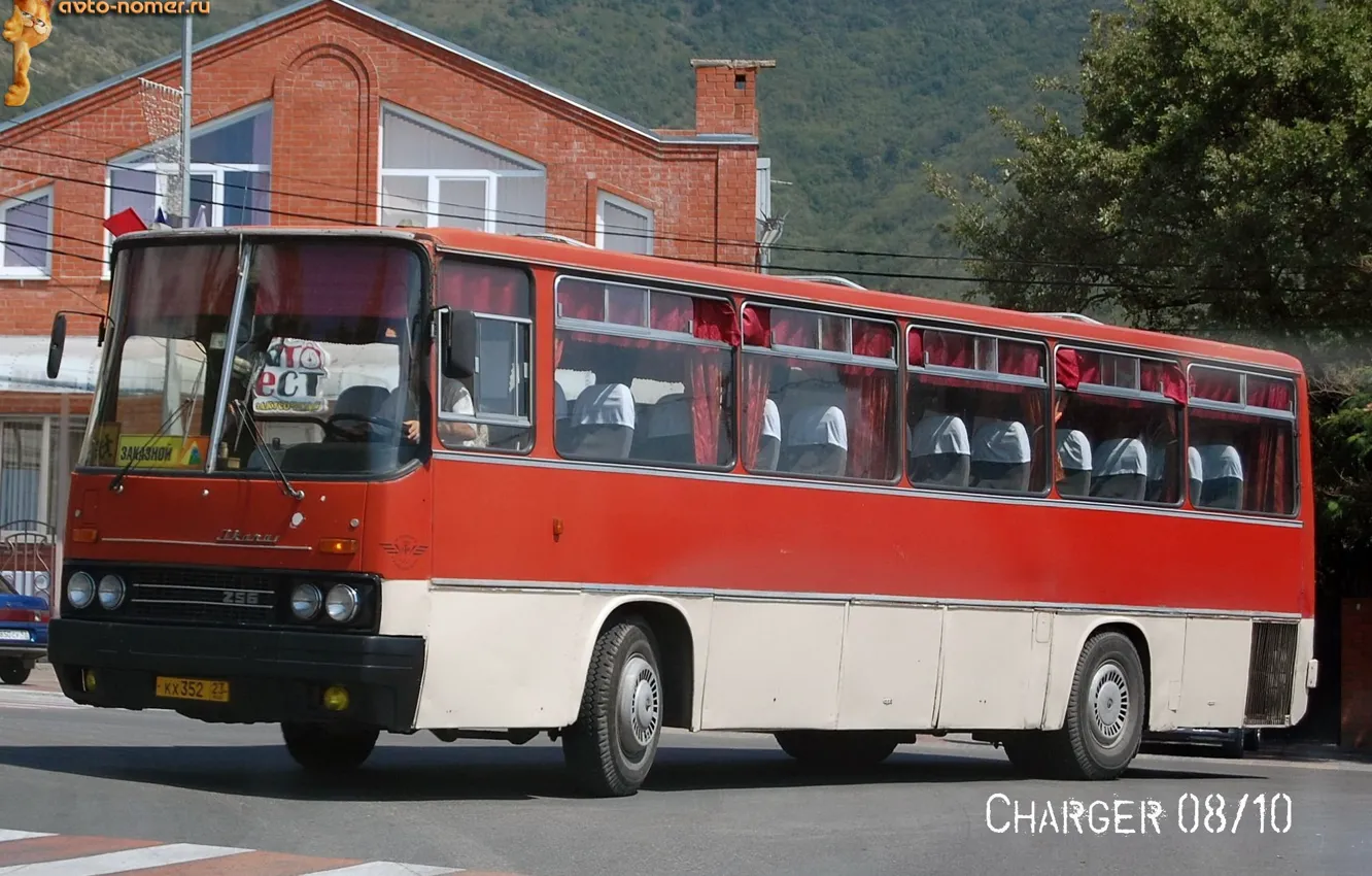 Photo wallpaper transport, bus, Ikarus