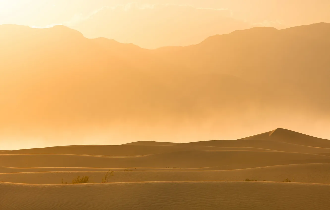 Photo wallpaper sand, landscape, desert