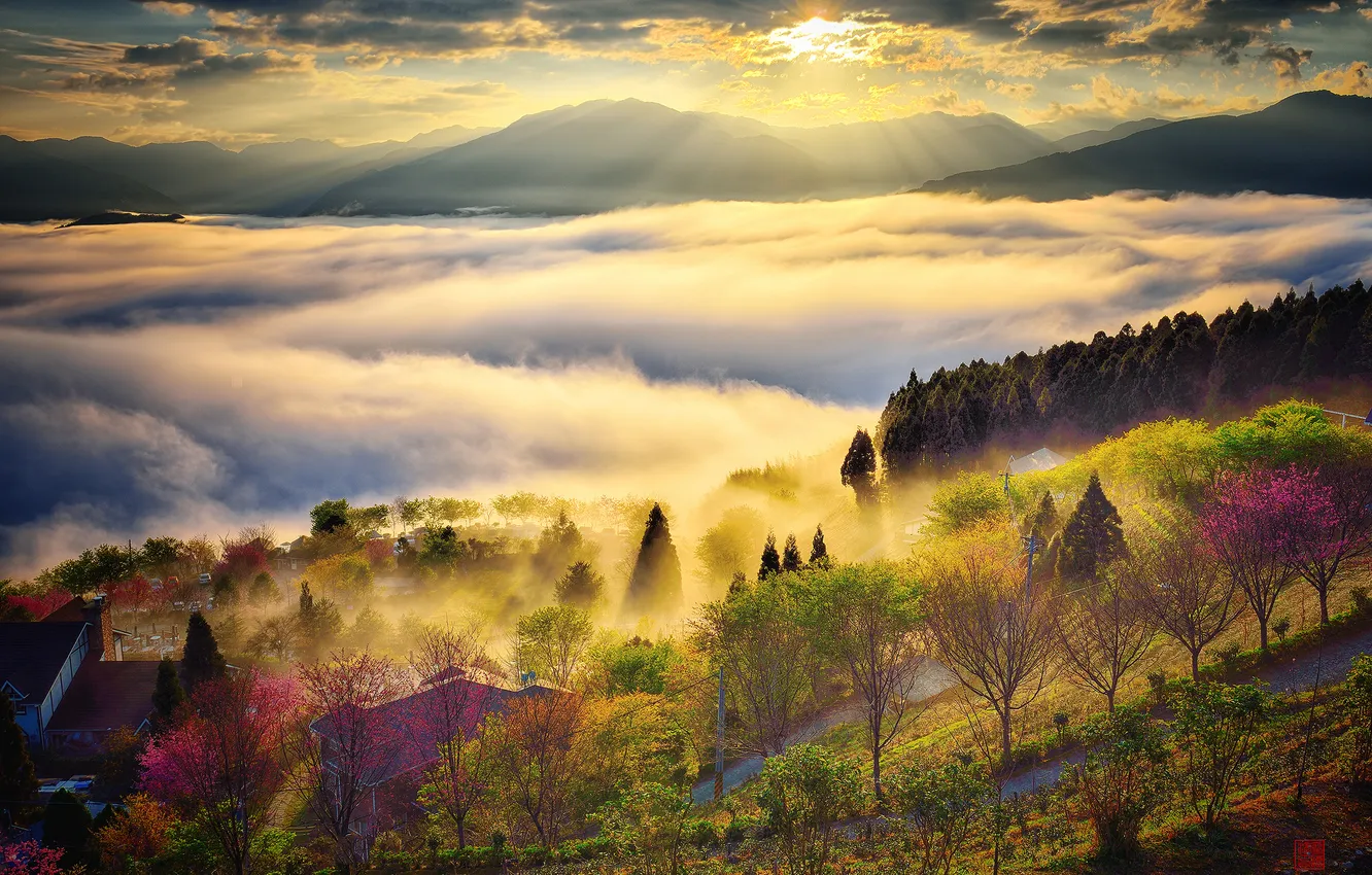 Photo wallpaper the sky, the sun, clouds, rays, light, mountains, fog, hills