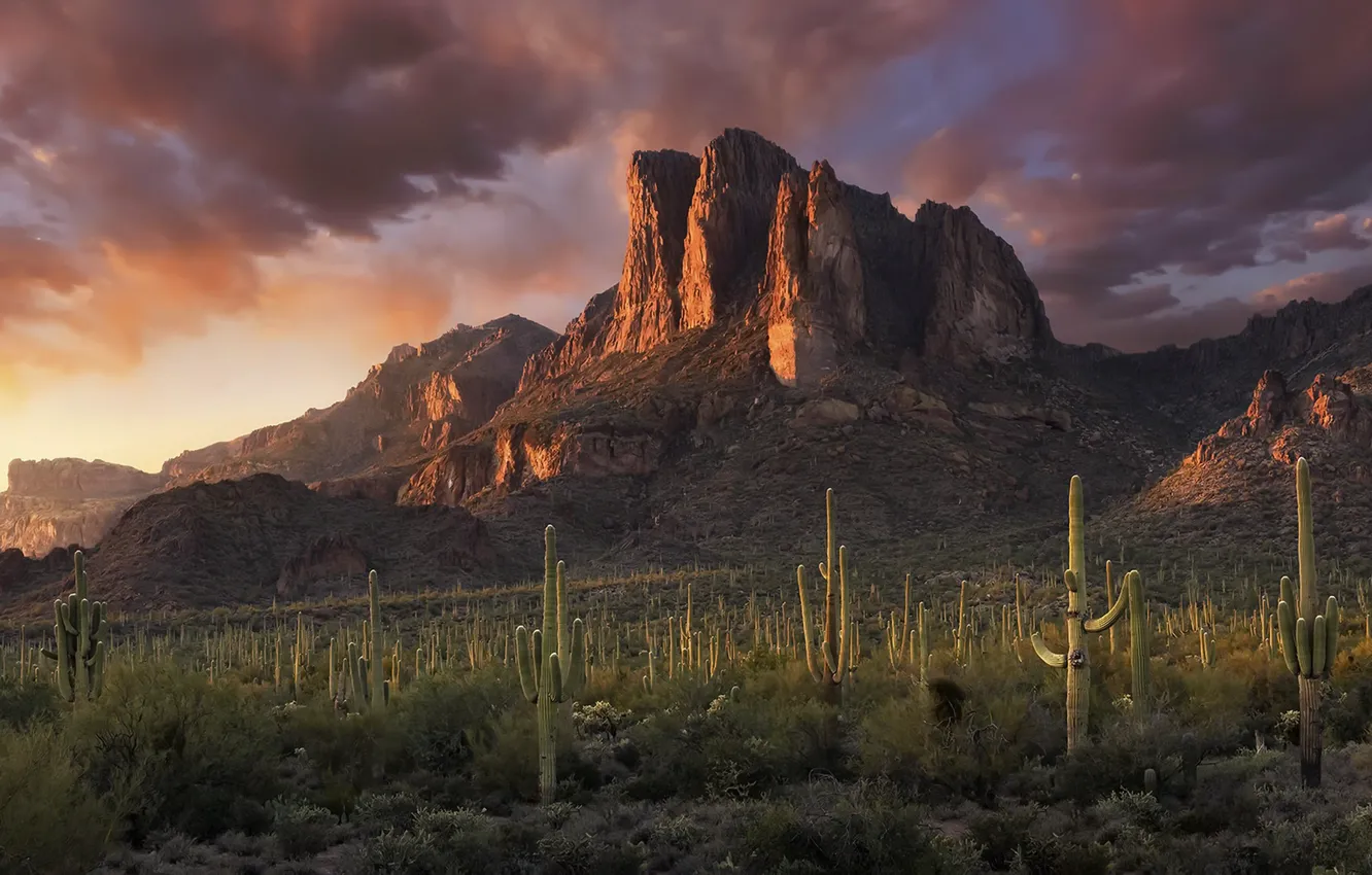 Photo wallpaper sunset, mountains, cacti