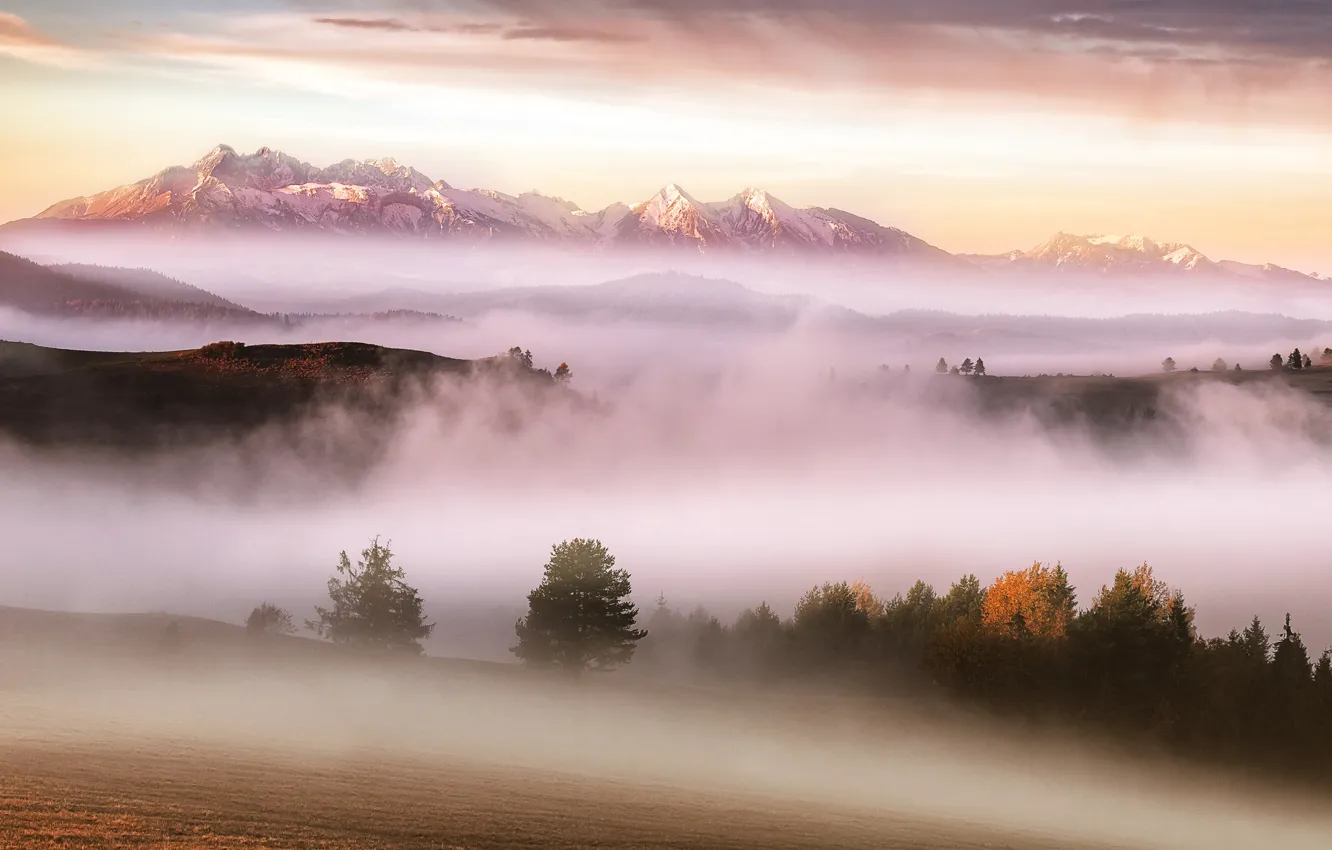 Photo wallpaper autumn, mountains, fog, morning, Carpathians