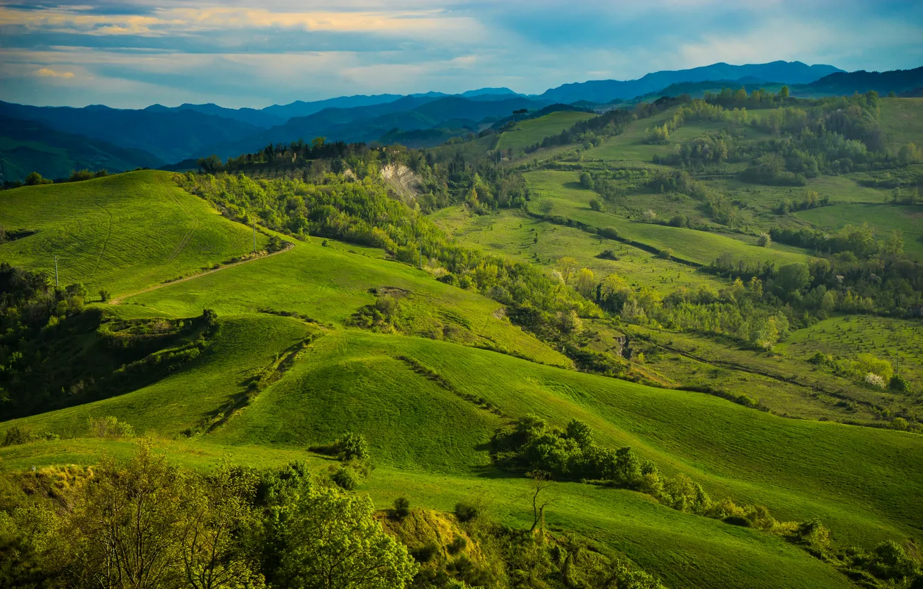 Photo wallpaper greens, grass, trees, hills, field, Italy, meadows, Tuscany