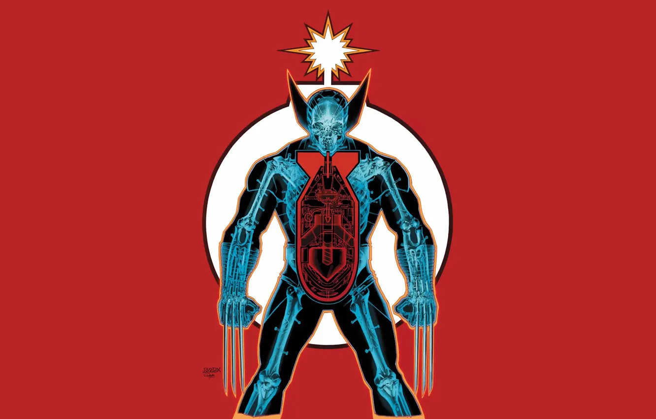 Photo wallpaper skeleton, claws, x-ray, Wolverine, Logan, Wolverine, Logan, red background