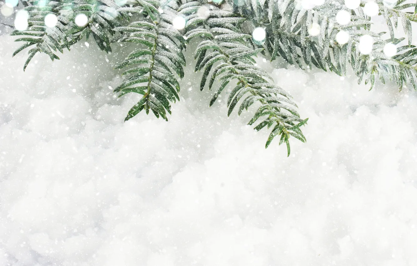 Photo wallpaper snow, new year, spruce, branch