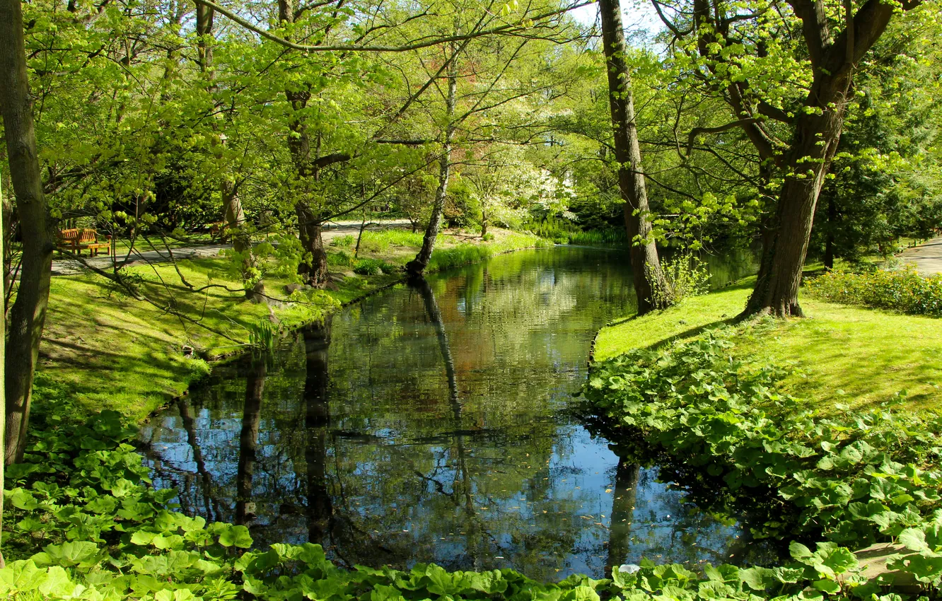 Photo wallpaper water, park, spring, Pong