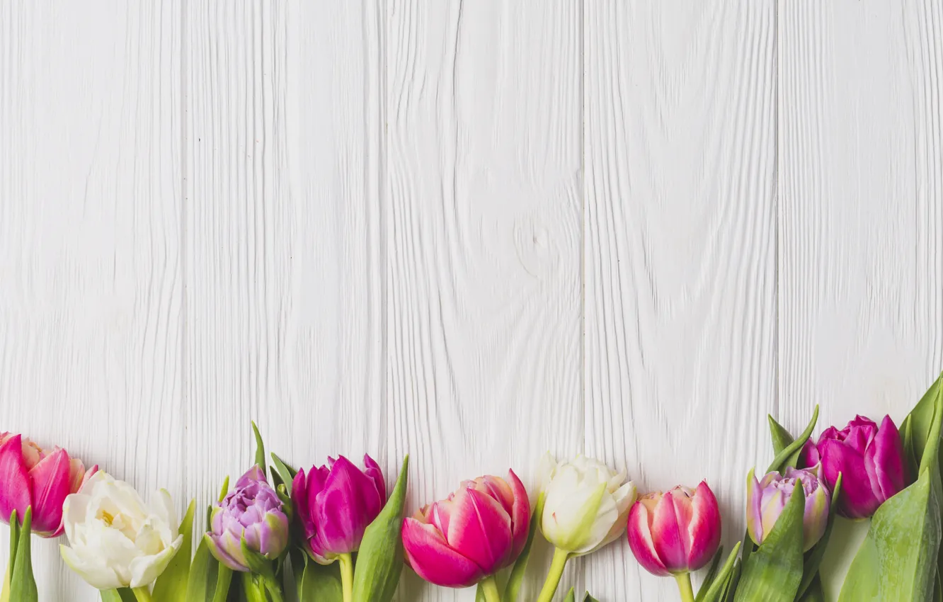 Photo wallpaper flowers, Board, spring, colorful, tulips, wood, pink, flowers