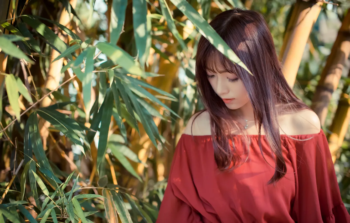 Photo wallpaper leaves, bamboo, neckline, Asian