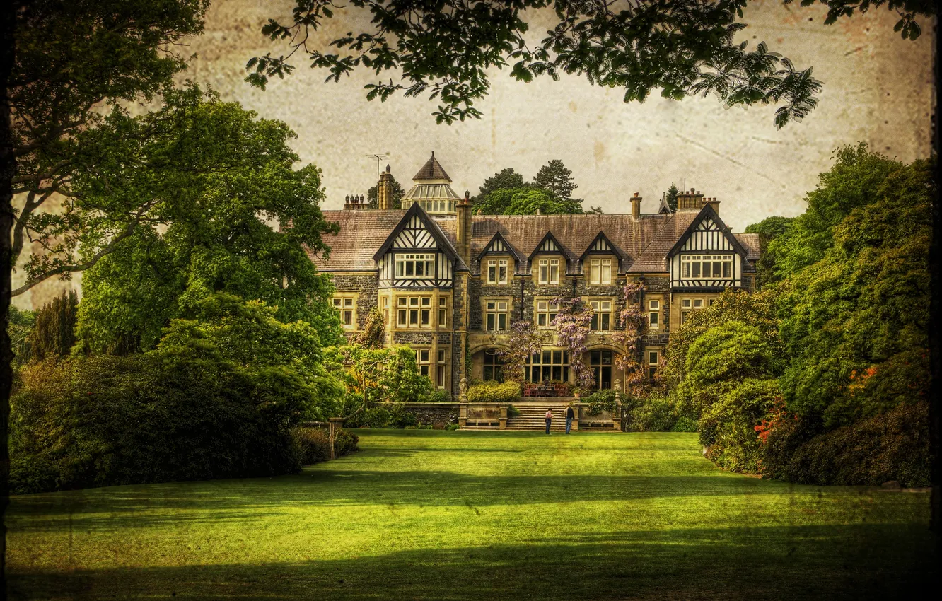 Photo wallpaper greens, grass, trees, branches, home, treatment, garden, UK