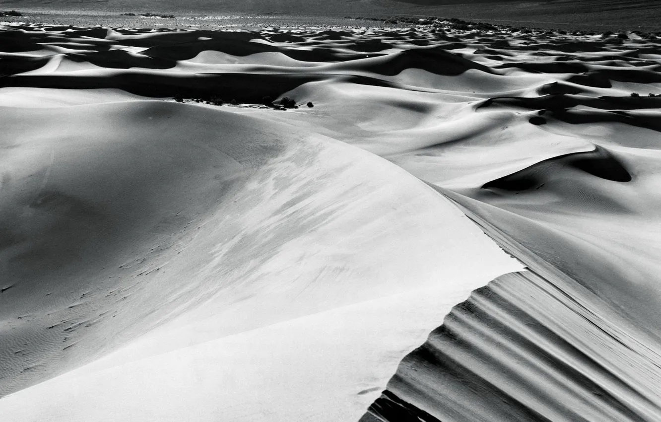 Photo wallpaper sand, white, desert, black