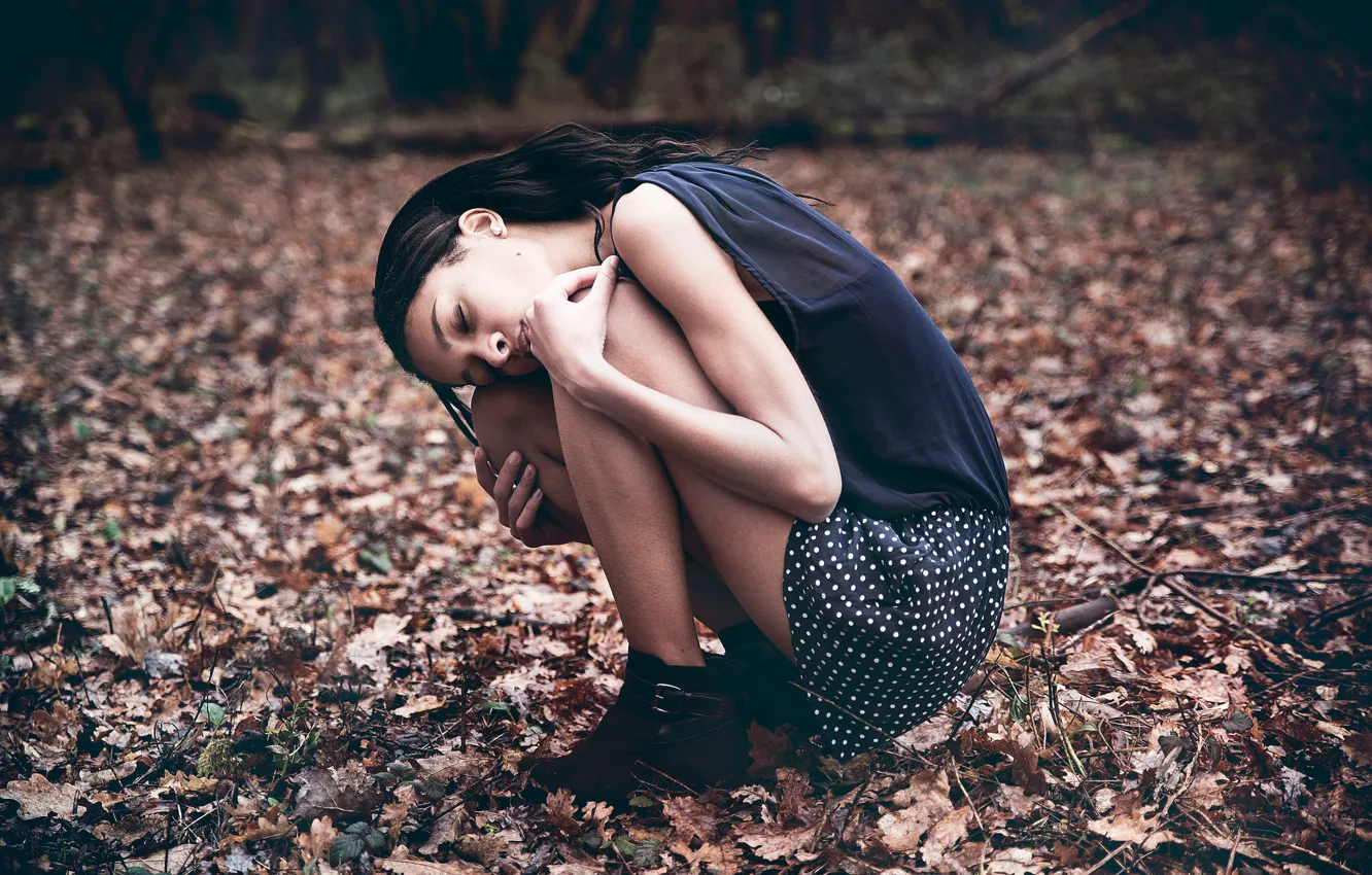 Photo wallpaper autumn, forest, loneliness, Chloe