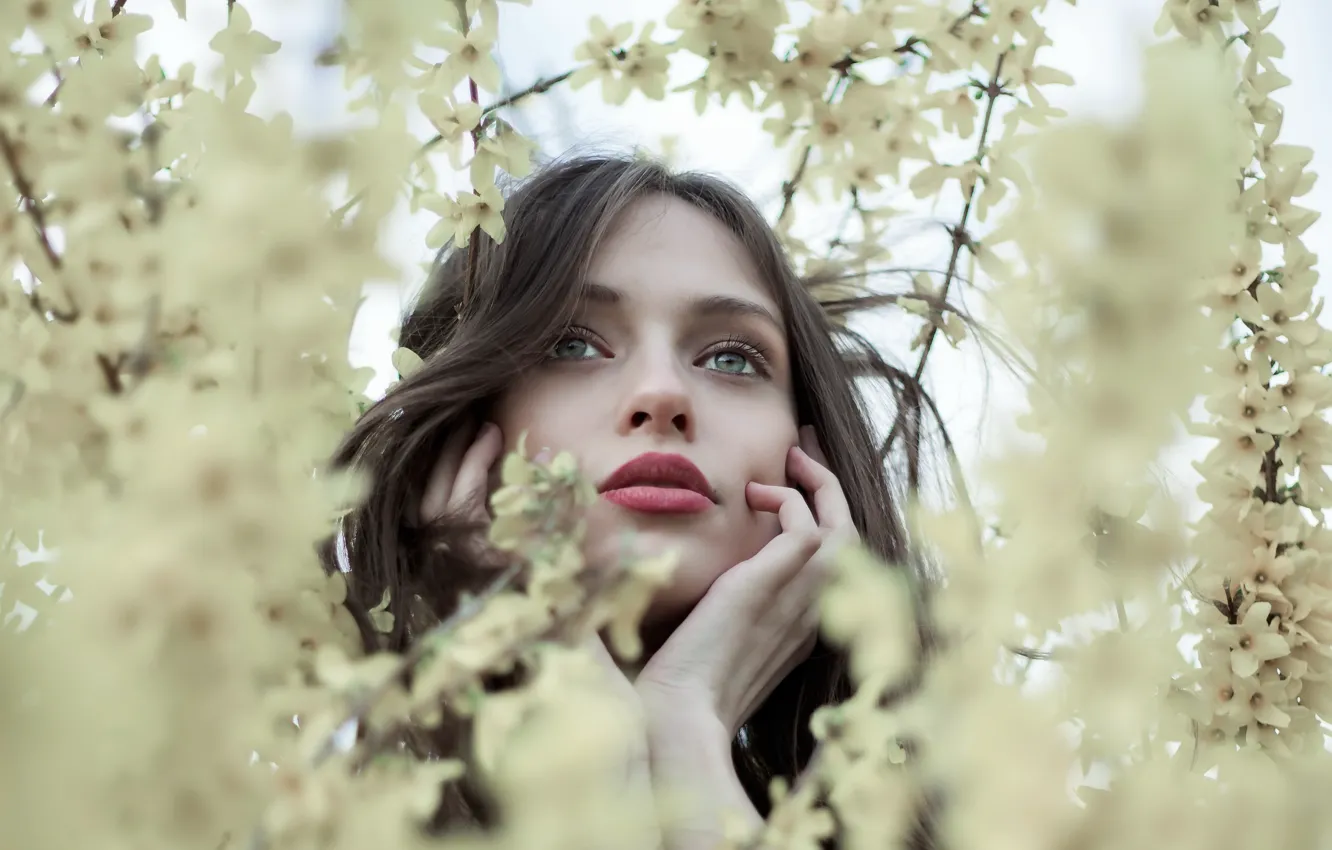 Photo wallpaper girl, spring, garden