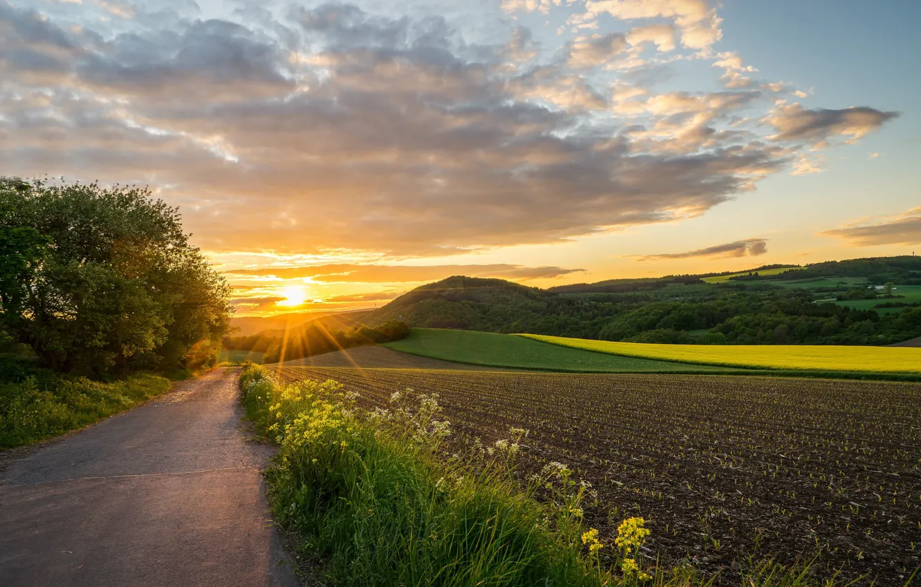 Photo wallpaper road, field, sunset, Germany