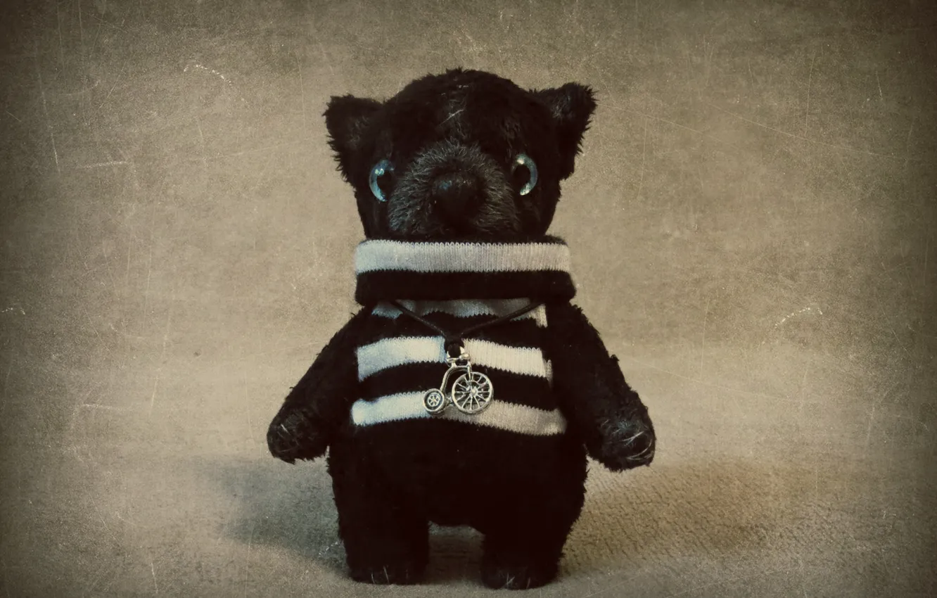 Photo wallpaper toy, Teddy bear, handmade, striped shirt