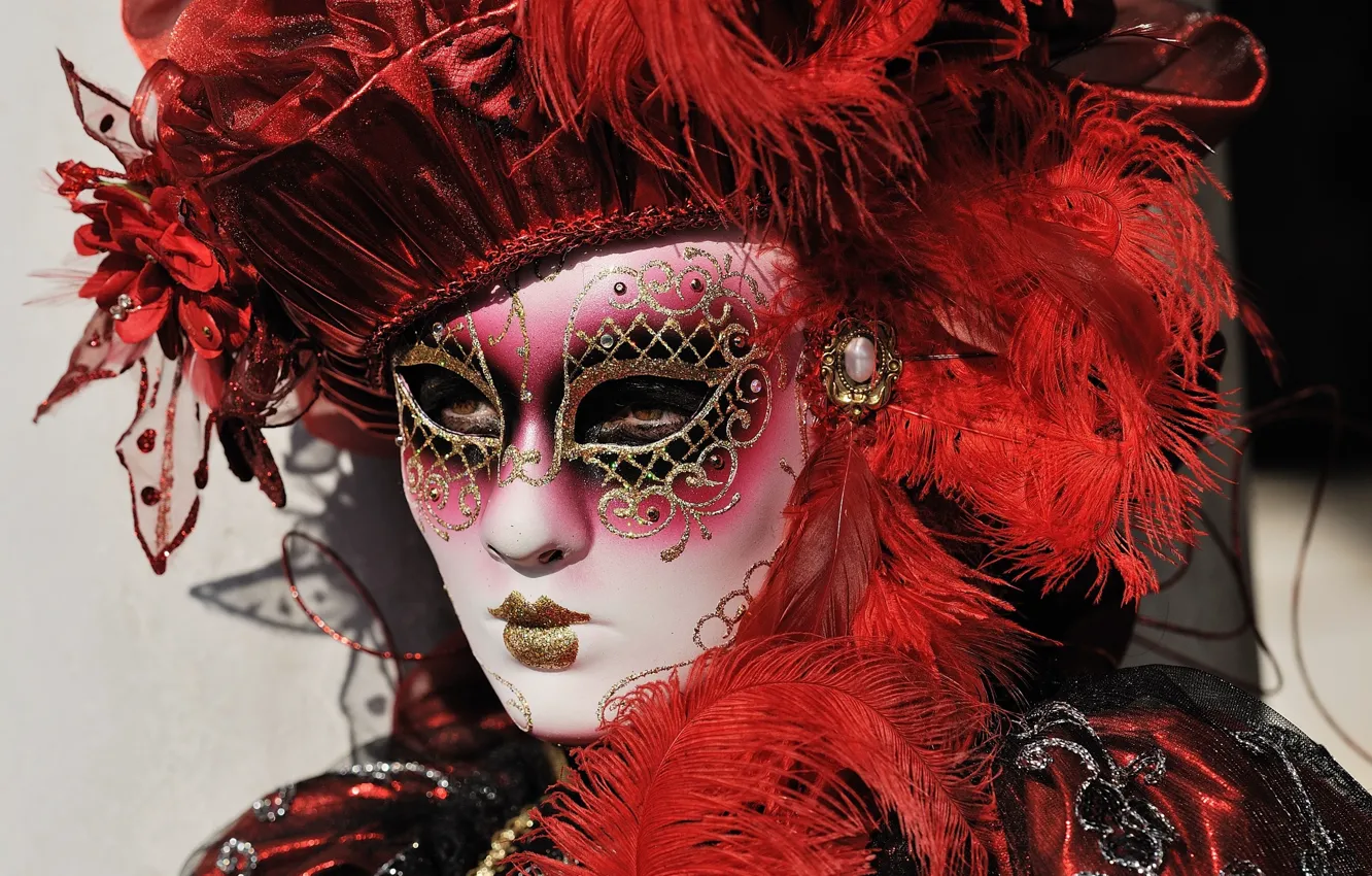 Photo wallpaper feathers, mask, carnival