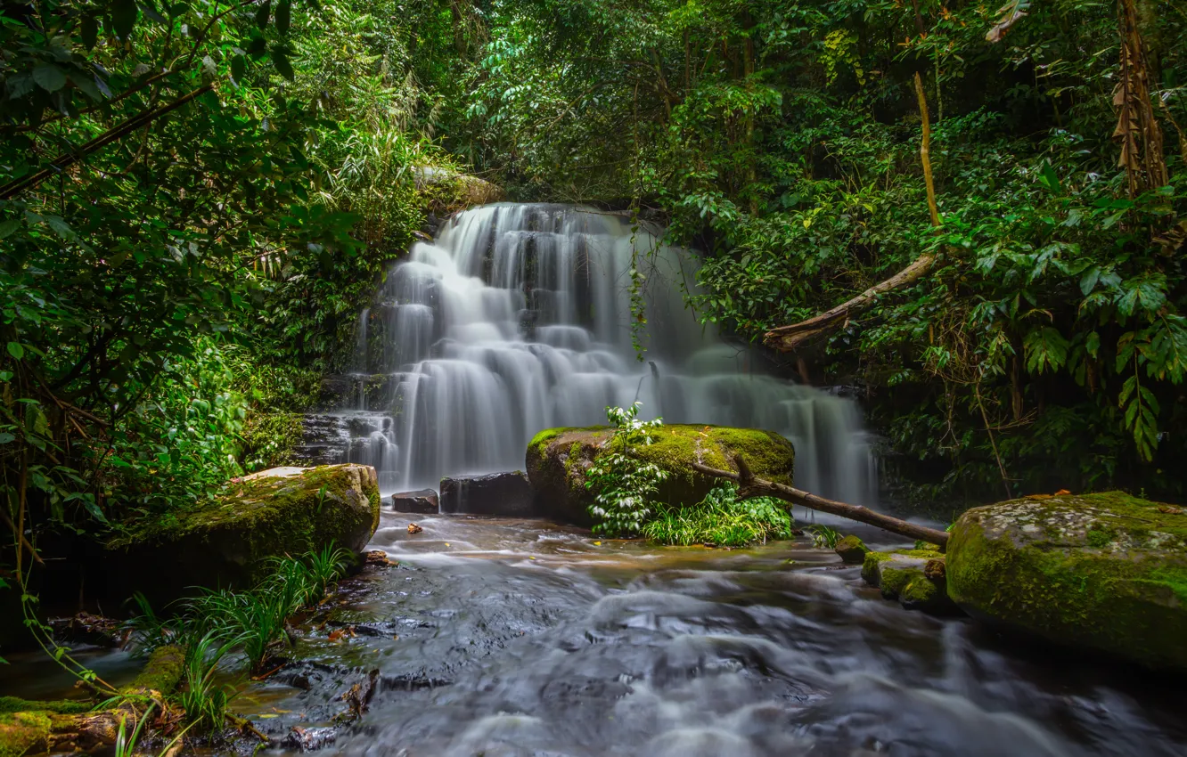 Photo wallpaper forest, landscape, river, rocks, waterfall, Thailand, summer, forest