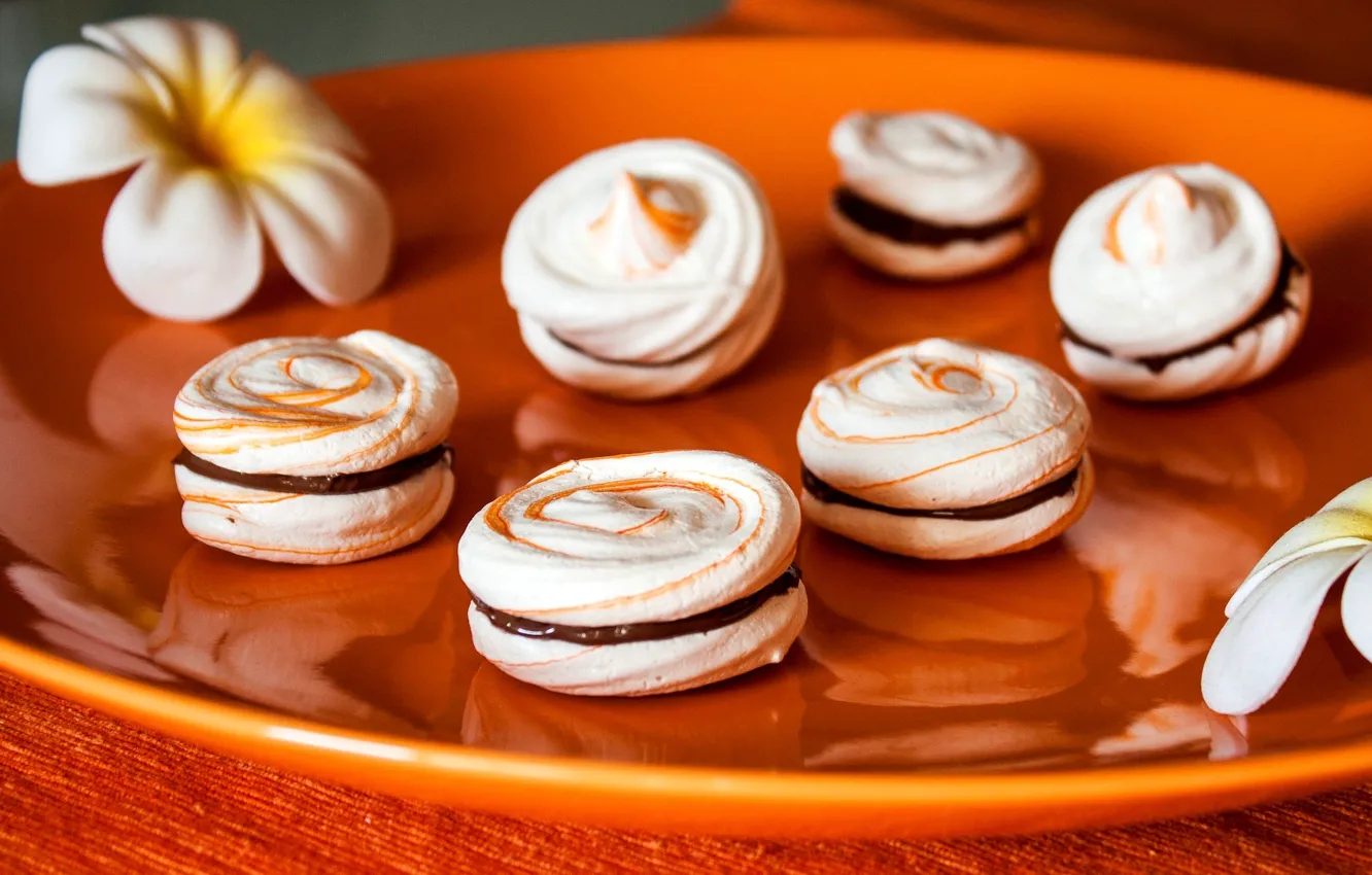 Photo wallpaper flowers, chocolate, plate, sweets, dessert, Camellia, meringue, meringue