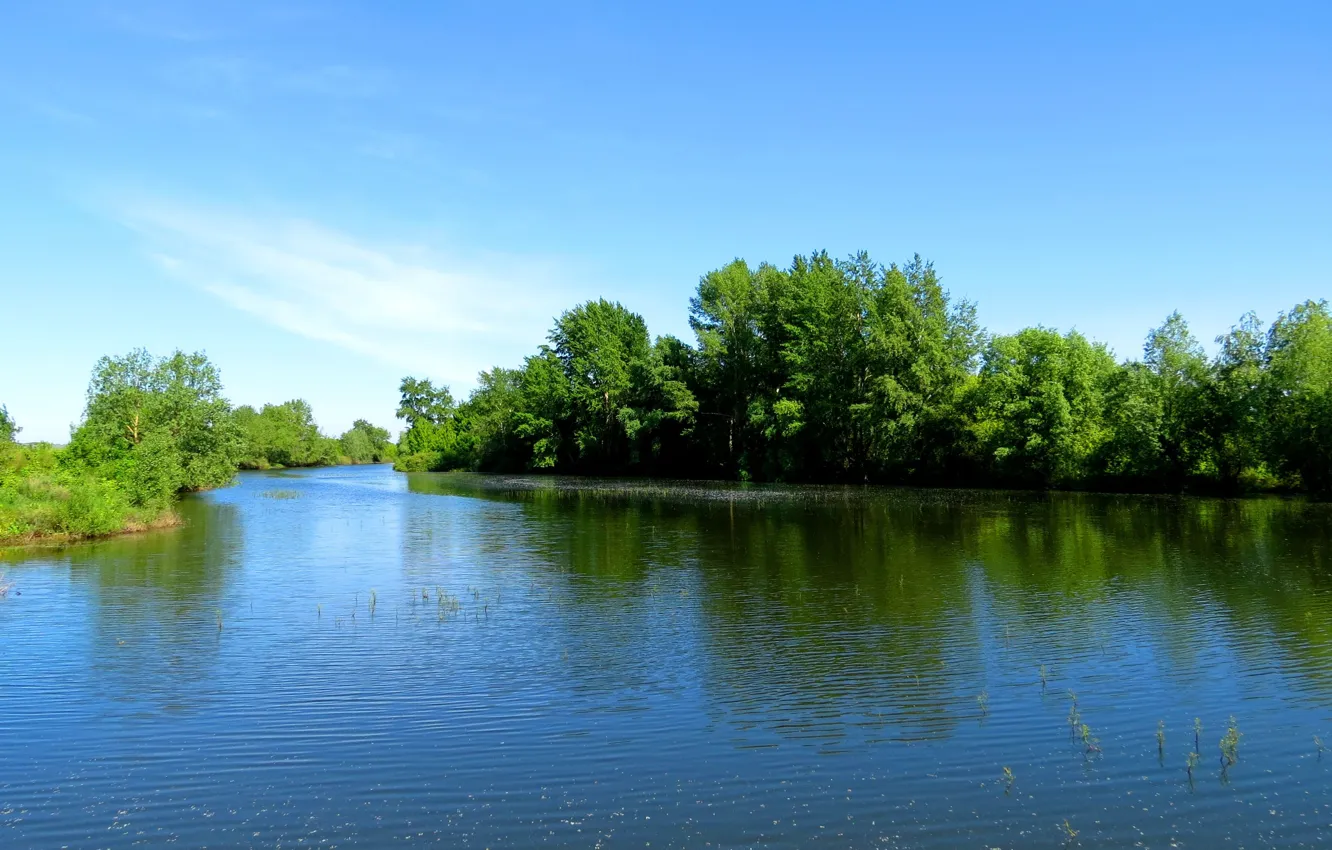 Photo wallpaper summer, water, trees, Wallpaper