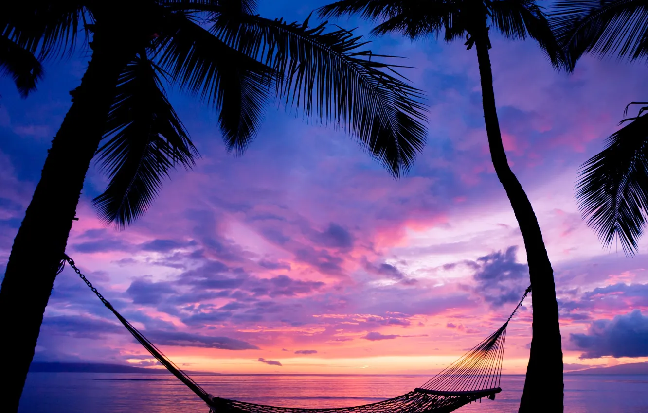 Photo wallpaper sunset, palm trees, hammock