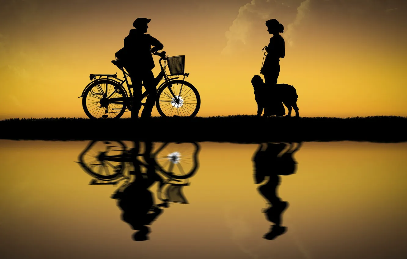 Photo wallpaper girl, the sun, bike, dog, guy, silhouettes