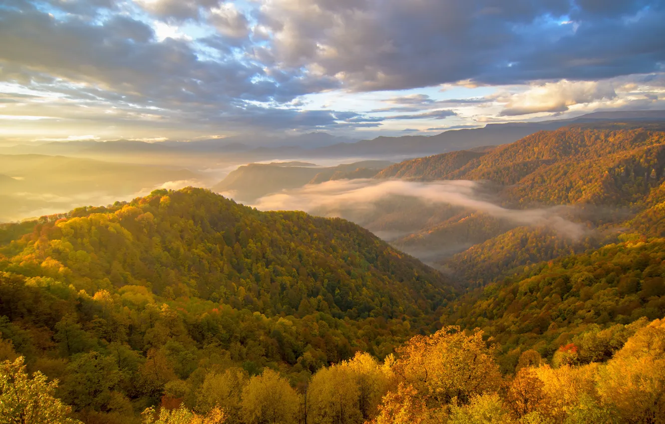 Photo wallpaper autumn, clouds, landscape, mountains, nature, fog, forest