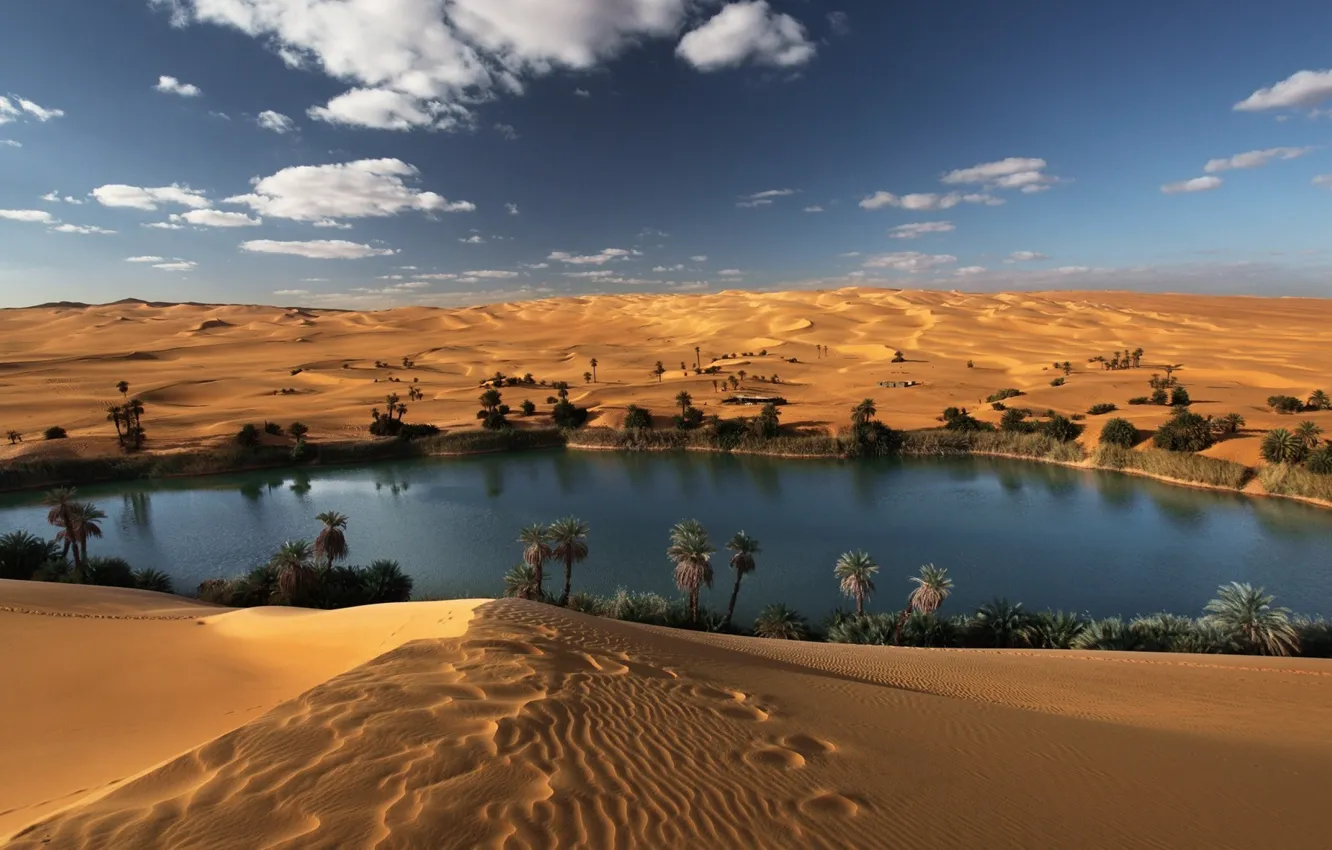 Photo wallpaper sand, lake, desert, oasis, Sahara