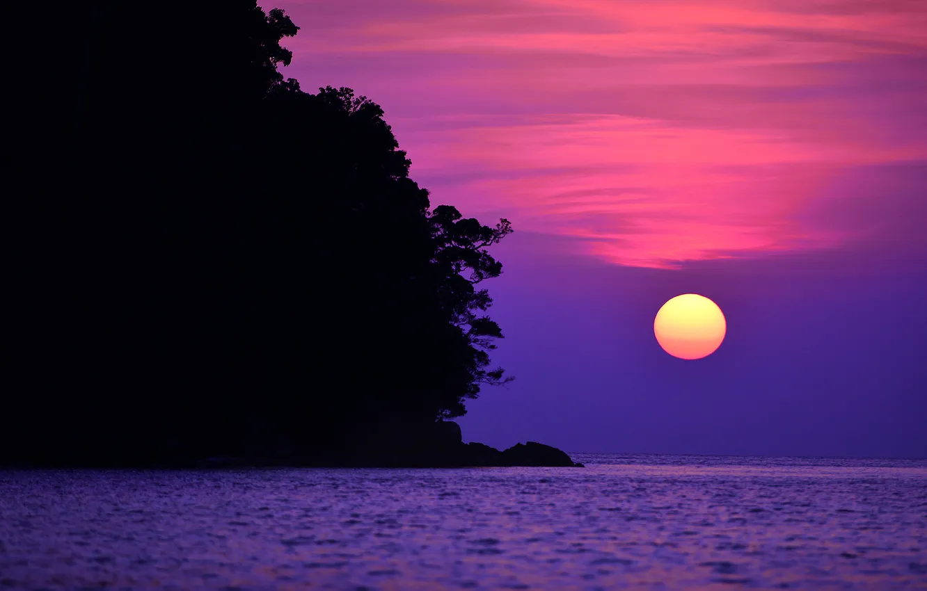 Photo wallpaper sea, the sky, the sun, clouds, trees, sunset, rocks, glow